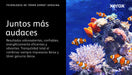 EAN 0095205865929 - Xerox 106R03897 cartucho de tóner 1 pieza(s) Original imagen 2