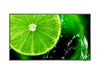 EAN 5028695120488 - NEC E series MultiSync E558 Pantalla plana para señalización digital 138,7 cm (54.6") LCD 350 cd / m² 4K  imagen 1