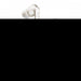 EAN 7350088303399 - Urbanista London Auriculares Inalámbrico Dentro de oído Música Bluetooth Blanco imagen 3