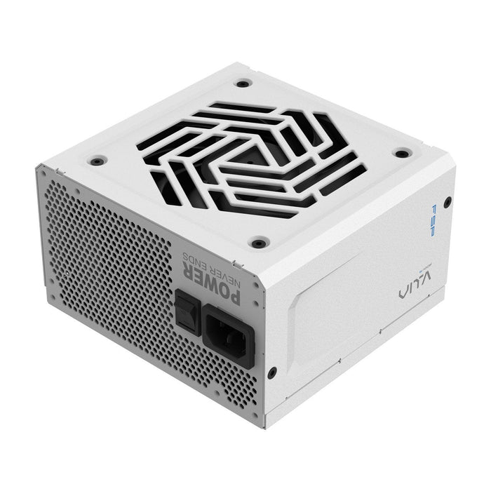1000w Fsp Vita Gm 80+ Gold Atx 3.0 Vollmodular