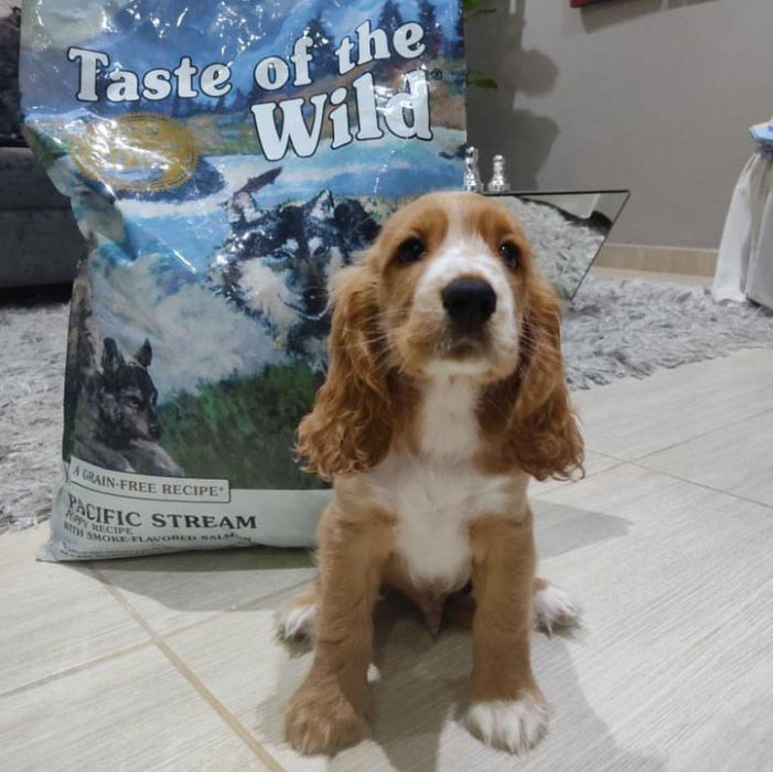 EAN 0074198612451 - Taste of the Wild Pacific Stream 2 kg Cachorro Bola, Salmón, Batata imagen 6