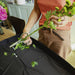 EAN 6411501706416 - Fiskars 1075317 no categorizado imagen 8