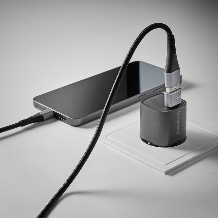 EAN 4034303038152 - Intenso 7600913 cambiador de género para cable Gris imagen 18