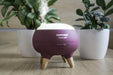 EAN 8595631022863 - Concept DF1011 difusor de aroma Tanque Rosa imagen 8