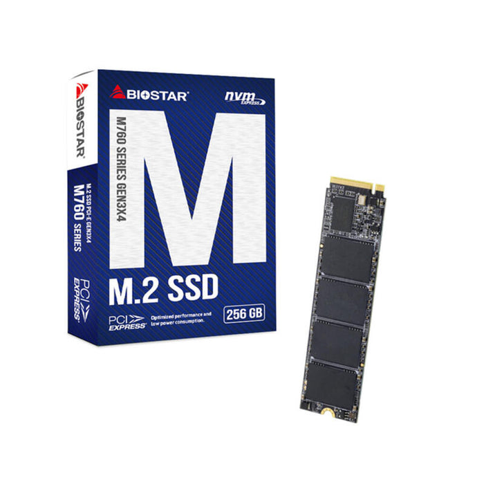 Dysk Ssd Biostar M760 256gb