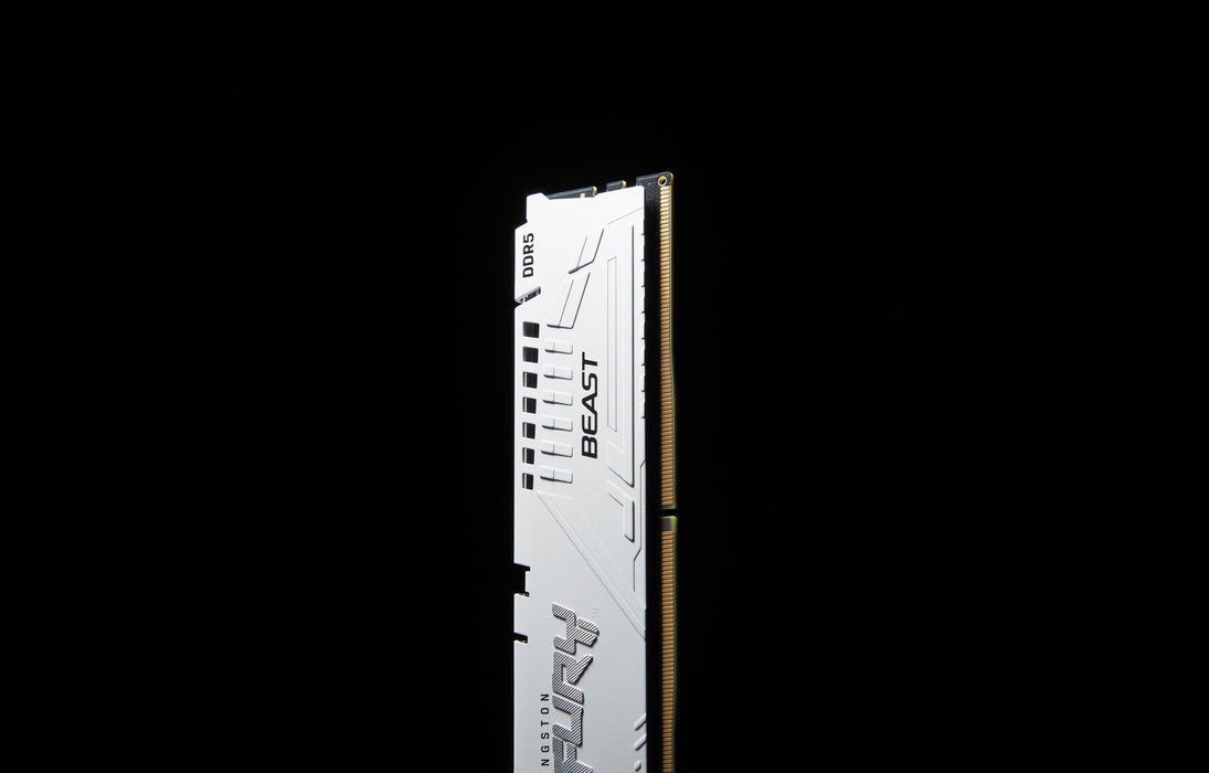 Memoria Kingston Fury Beast 16gb Ddr5 5600 Kf556c36bwe-16