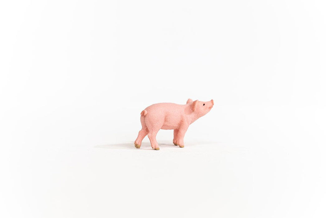 EAN 4059433358628 - schleich FARM WORLD 13934 figura de juguete para niños imagen 4