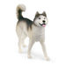EAN 4059433522463 - schleich Vida Salvaje 42558 set de juguetes imagen 18