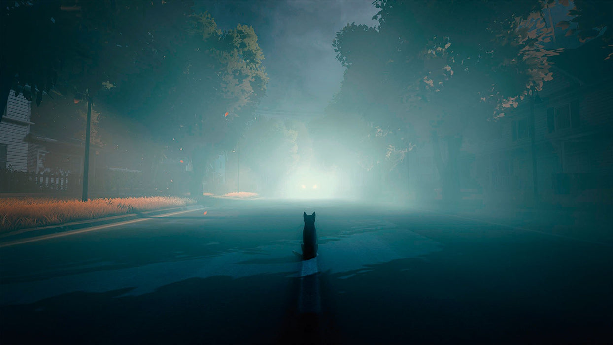 EAN 8436016712705 - Tesura Games Copycat imagen 5