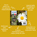 EAN 8715946625195 - Epson Daisy C13T18064022 cartucho de tinta 1 pieza(s) Original Rendimiento estándar Negro, Cian, Magenta, imagen 5