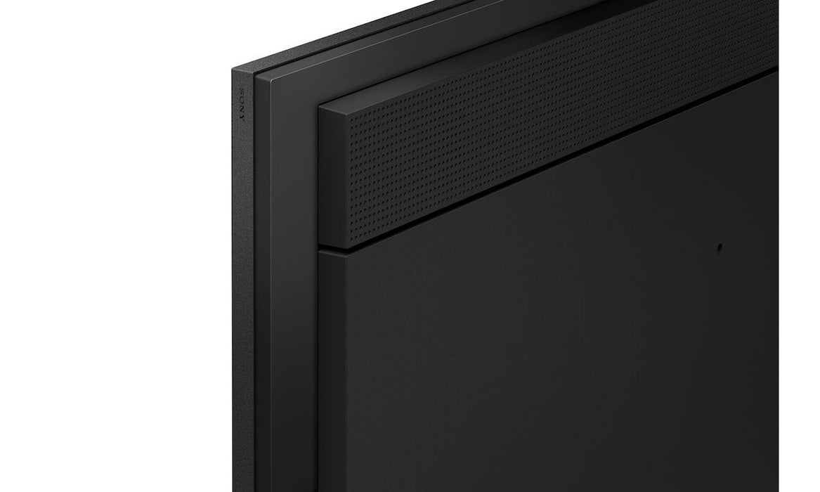 Sony 55" Pro Bravia 700nit Dbng Premium Display