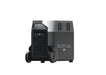 EAN 4897082665335 - EcoFlow Delta Pro estación de energía portátil Fosfato de hierro-litio (LiFePo4) 3600 W 45 kg imagen 42