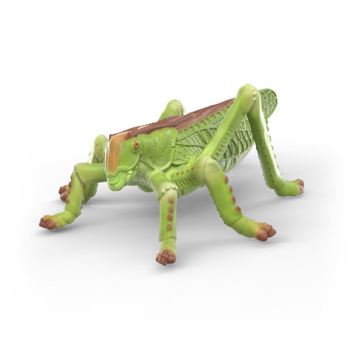 Schleich Insekten Entdecker Set 42741