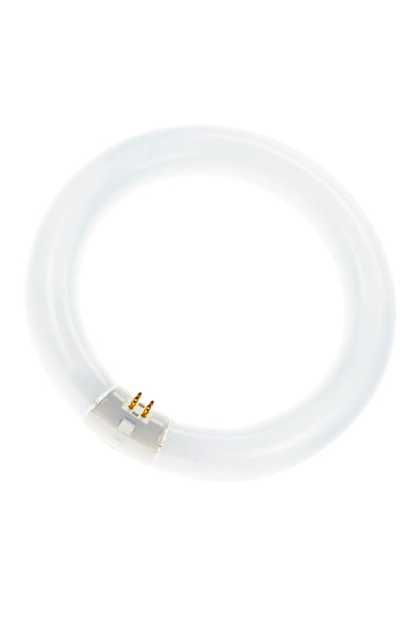 EAN 4050300014845 - Osram FC040840/02 lámpara fluorescente 40 W imagen 1