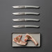 EAN 8054615804036 - Berkel KCO4SW11SRGBL cuchillo de cocina Acero inoxidable 4 pieza(s) Cuchillo para carne imagen 2