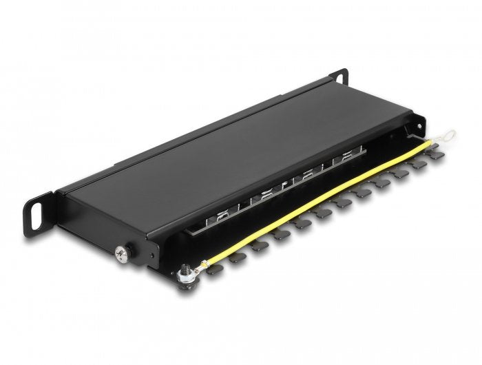 Delock 66870 Panel De Parcheo 0.5u, Patch Panel Negro, Negro, Metal, 0.5u, 254 Mm, 100 Mm, 22 Mm