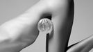 EAN 0810476019006 - Fleshlight Ice Lady Transparente imagen 3