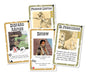 EAN 8435407611481 - Asmodee EEDVBA07 juego de tablero Bang! Armados y peligrosos 40 min Juego De Cartas Interpretación de rol imagen 2