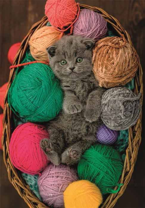 Puzzle Fluffy Kitten 500pzs