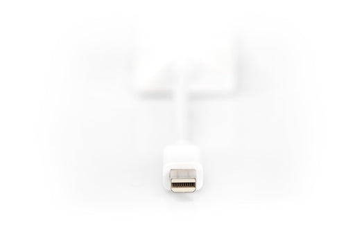 EAN 4016032292456 - Digitus DB-340407-001-W adaptador de cable de vídeo 0,15 m Mini DisplayPort Blanco imagen 2