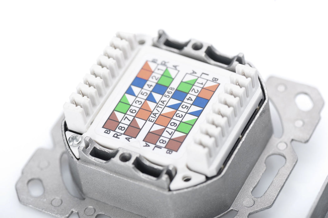 EAN 4016032320197 - Digitus DN-9007-1 toma de corriente 2 x RJ-45 Blanco imagen 5