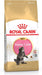 EAN 3182550770941 - Royal Canin Maine Coon Kitten alimento seco para gatos 400 g Gatito Aves, Arroz imagen 1