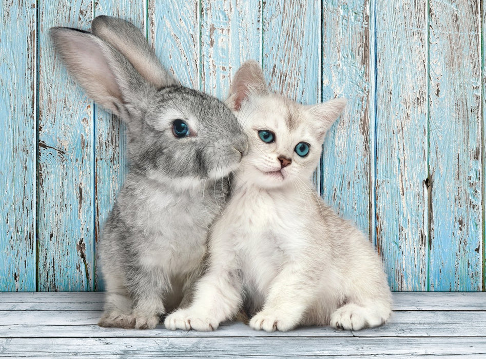 Puzzle Gato Y Conejo 500pzs
