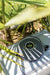 EAN 8711902066439 - Lenco CD-400GY reproductor de CD Antracita Reproductor de CD portátil imagen 8