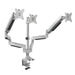 EAN 4052792048001 - LogiLink BP0052 soporte para monitor 81,3 cm (32") Escritorio Metálico imagen 2