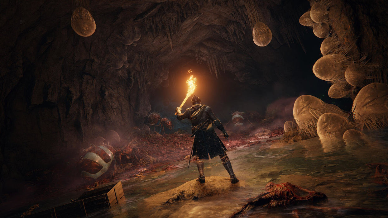 EAN 3391892017250 - BANDAI NAMCO Entertainment Elden Ring (PS5) Estándar Plurilingüe PlayStation 5 imagen 10