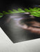 EAN 4011367005672 - Hahnemühle 10640308 papel fotográfico A4 Blanco Brillo imagen 7