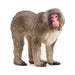 EAN 4059433789453 - schleich Vida Salvaje 14871 figura de juguete para niños imagen 1
