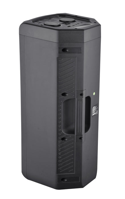 EAN 4260035679244 - Reflexion PS09BT altavoz portátil o de fiesta Altavoz portátil estéreo Negro 500 W imagen 2