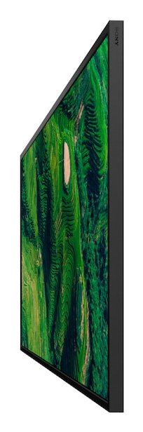 Sony 65" Pro Bravia 500nit Dbng Standard Display