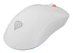 EAN 5901969443400 - GENESIS Zircon XIII ratón Juego Ambidextro RF Wireless + USB Type-C Óptico 26000 DPI imagen 2