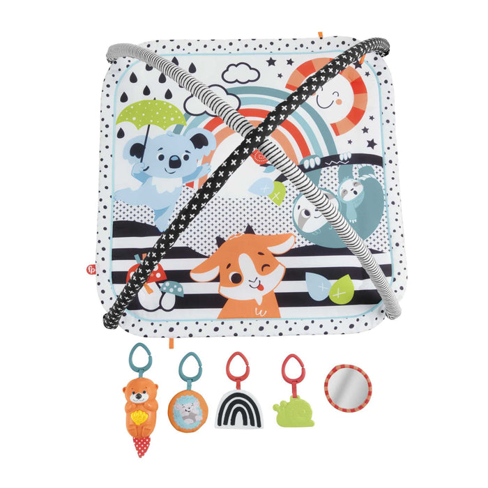 EAN 0194735000319 - Fisher-Price HBP41 gimnasio para bebé y tapete de juego Tela, Plástico Multicolor Gimnasio para bebés imagen 7