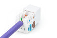 EAN 4016032245100 - Digitus DN-93601 módulo de conector de red imagen 4