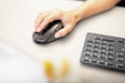 EAN 4025112091940 - CHERRY DW 9500 SLIM teclado Ratón incluido Universal RF Wireless + Bluetooth QWERTY Inglés Negro, Gris imagen 5