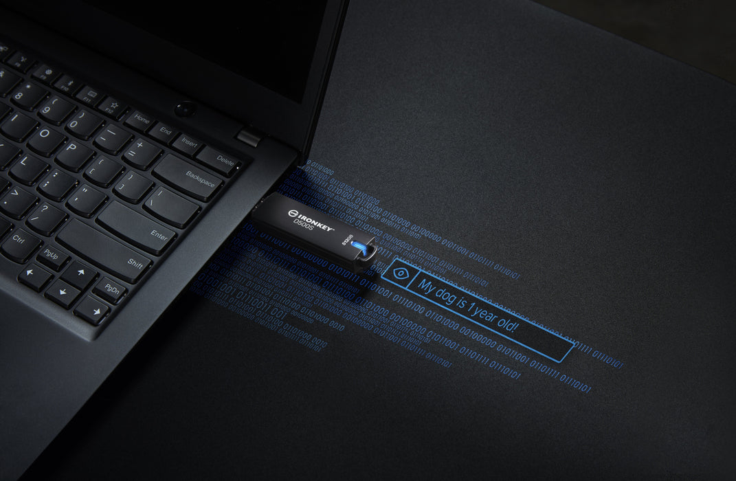 Memoria Usb Kingston Ironkey D500s De 512 Gb Ikd500s/512gb
