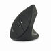 EAN 4712842946335 - Acer HP.EXPBG.009 ratón Oficina mano derecha RF inalámbrico Óptico 1600 DPI imagen 1
