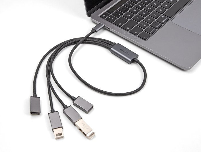 Delock 64210 Hub 4-Port Usb  2.0 Cable Usb-C 60cm