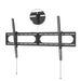 EAN 4047443496362 - Hama Strong 3,05 m (120") Negro imagen 1
