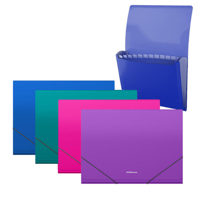 Erichkrause Clasificador Matt Vivid - 12 Fundas - Tamaño A4 - Colores Surtidos