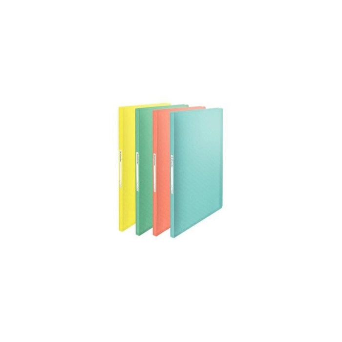 Esselte Carpeta Con 60 Fundas Fijas Colour´Ice A4 Polipropileno Surtidos Translúcidos