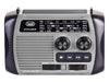 EAN 8011000040714 - Trevi RA 7F30 BT Portátil Analógica Negro, Gris imagen 2