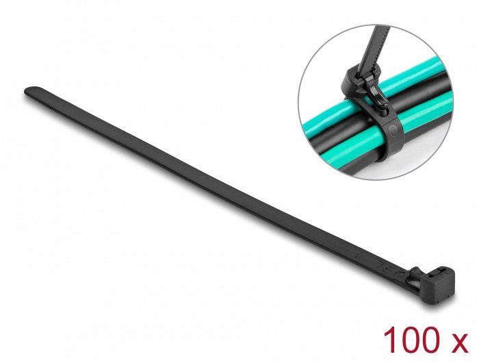EAN 4043619187577 - DeLOCK 18757 presilla Bridas adherentes para cables Nylon 100 pieza(s) imagen 1