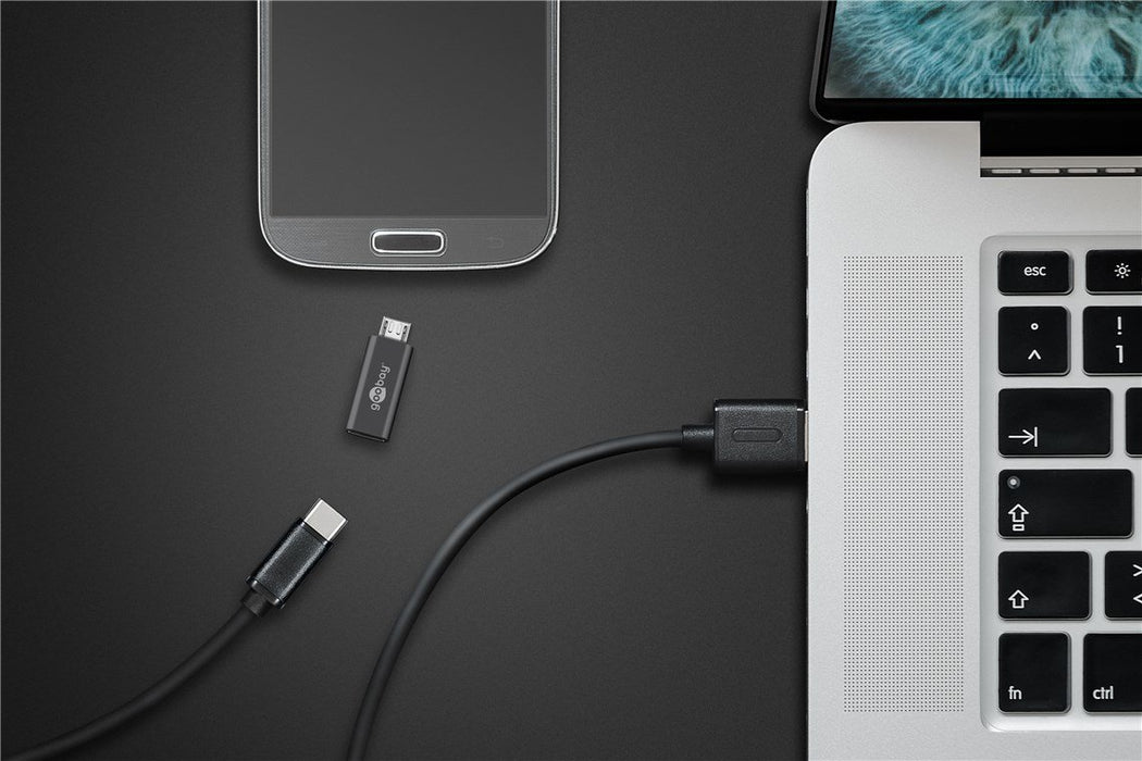 EAN 4040849555534 - Goobay 55553 cambiador de género para cable USB Micro B USB C Gris imagen 2