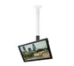 EAN 5019318302251 - B-Tech BT7553-100/BW soporte para TV 71,1 cm (28") Negro, Blanco imagen 2