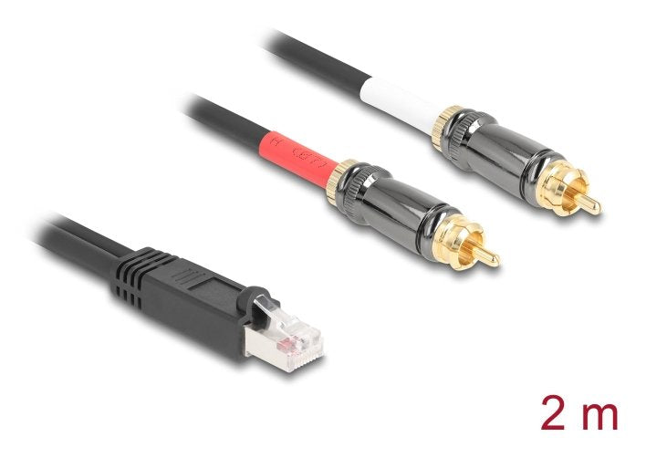 EAN 4043619881710 - DeLOCK 88171 cable de audio 2 m RJ-45 2 x RCA Negro imagen 2