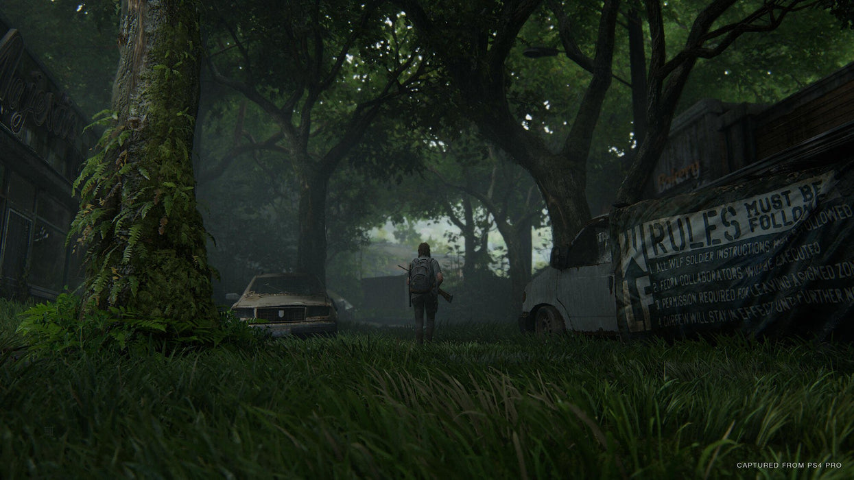 EAN 0711719330806 - Sony Interactive Entertainment The Last of Us Part II Estándar PlayStation 4 imagen 36